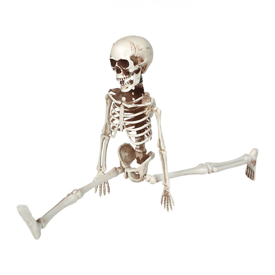 Squelette réaliste articulé de taille humaine 160 cm - Fiesta Republic