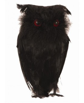 Hibou noir