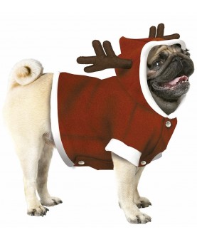 Deguisement de Père Noel pour chien Croci - Un chien dans le Marais