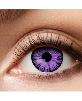 Lentilles big eye purple 3 mois