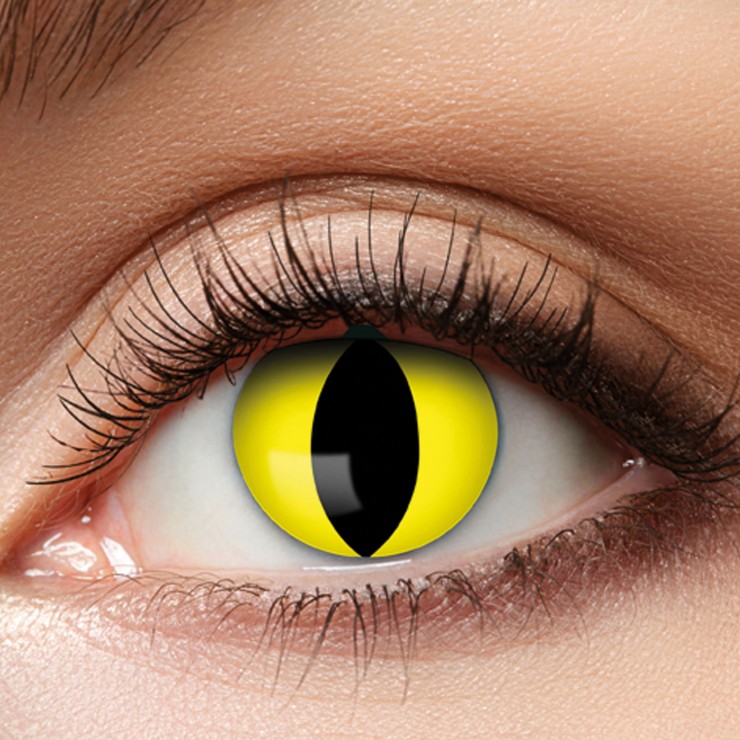 Lentilles yellow cat 1 an