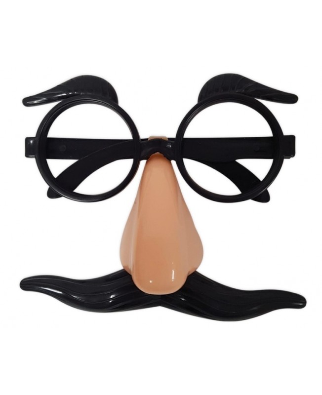 Lunettes avec nez et moustaches