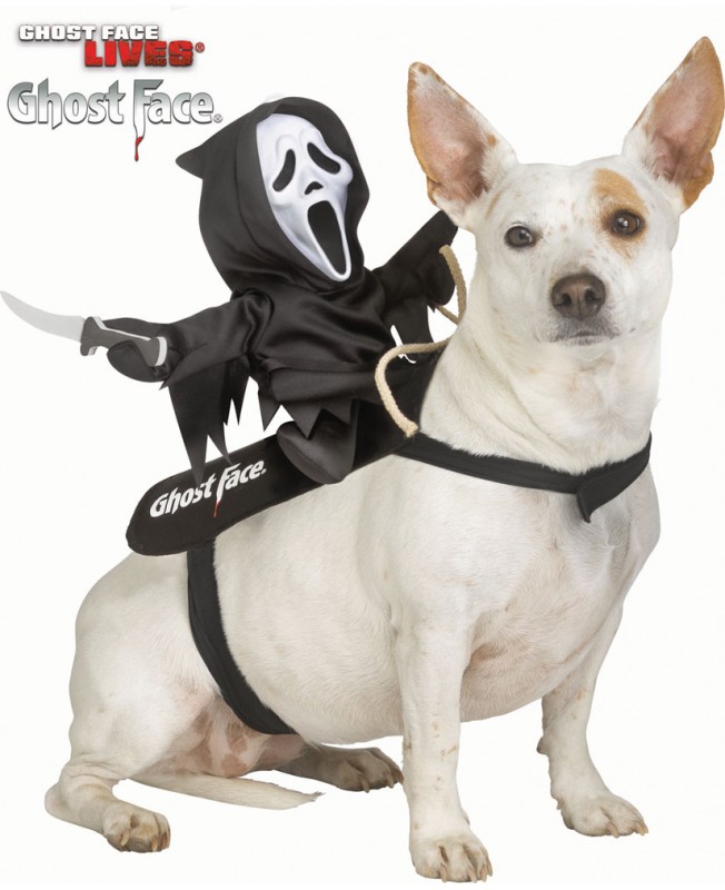 Ghost face rider pour chien