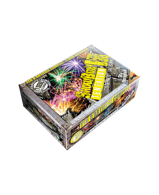 FEU d'artifice Showbox Tentation