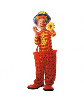 Costume Clown Cerceau