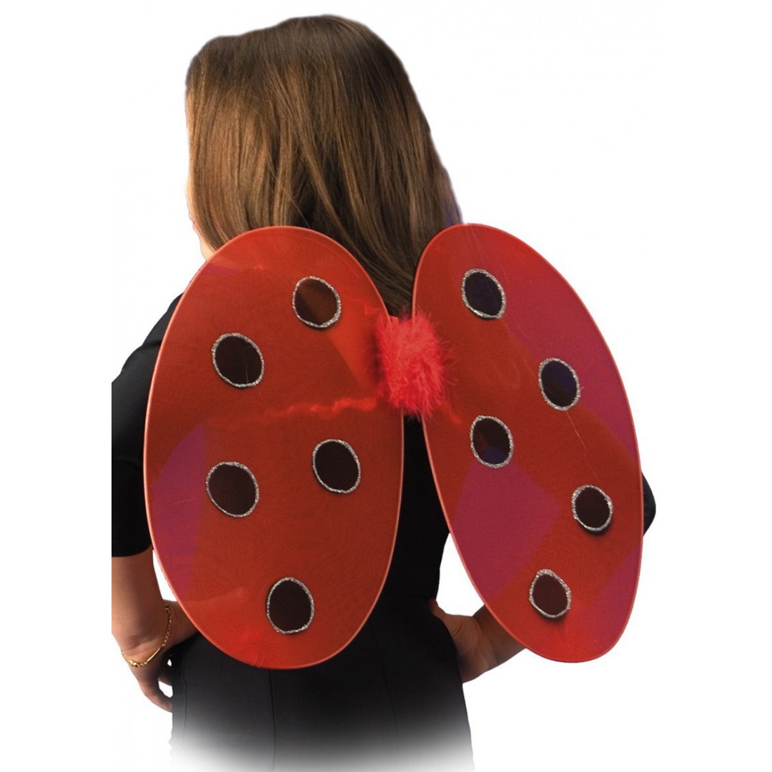 Ailes de coccinelle